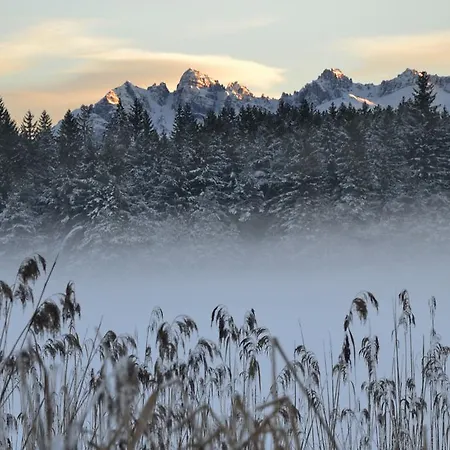 Seefeld Alpine Hideaway * سيفيلد ان تيرول